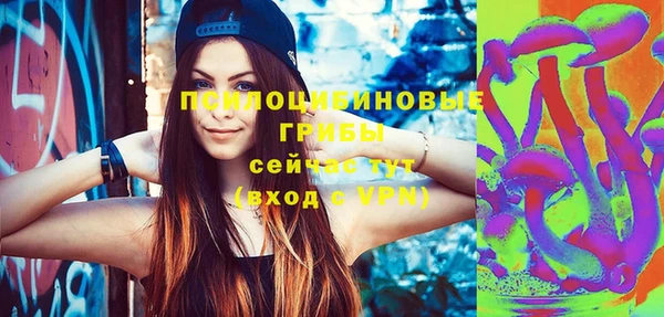 ГАЛЛЮЦИНОГЕННЫЕ ГРИБЫ Абдулино