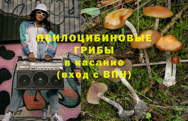 ГАЛЛЮЦИНОГЕННЫЕ ГРИБЫ Абдулино